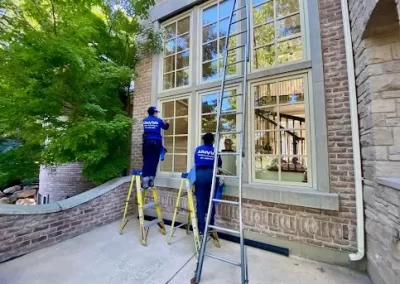 Window Washing Service